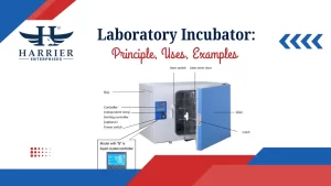 Read more about the article Laboratory Incubator: Principle, Uses, Examples 